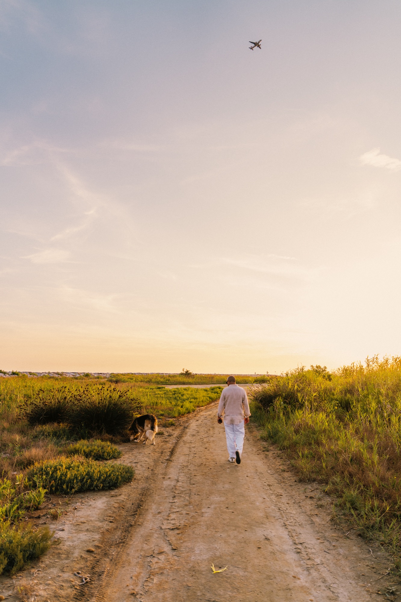 Couple shooting tirrenia beach cane dog spiaggia photography sunset colors pink orange