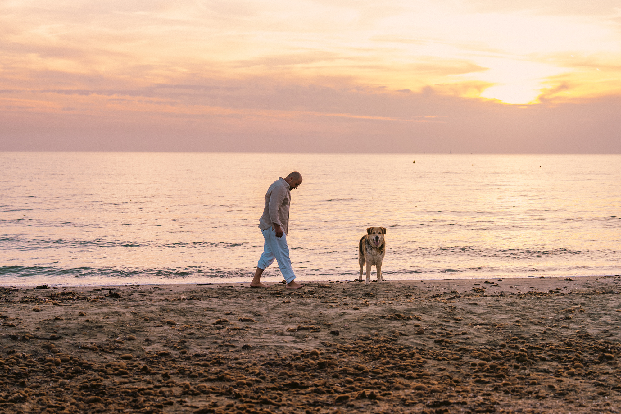 Couple shooting tirrenia beach cane dog spiaggia photography sunset colors pink orange