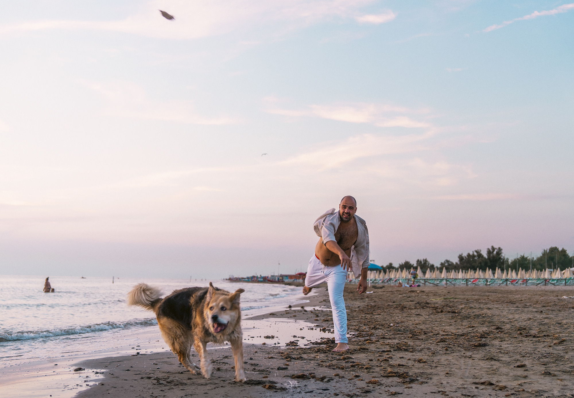 Couple shooting tirrenia beach cane dog spiaggia photography sunset colors pink orange