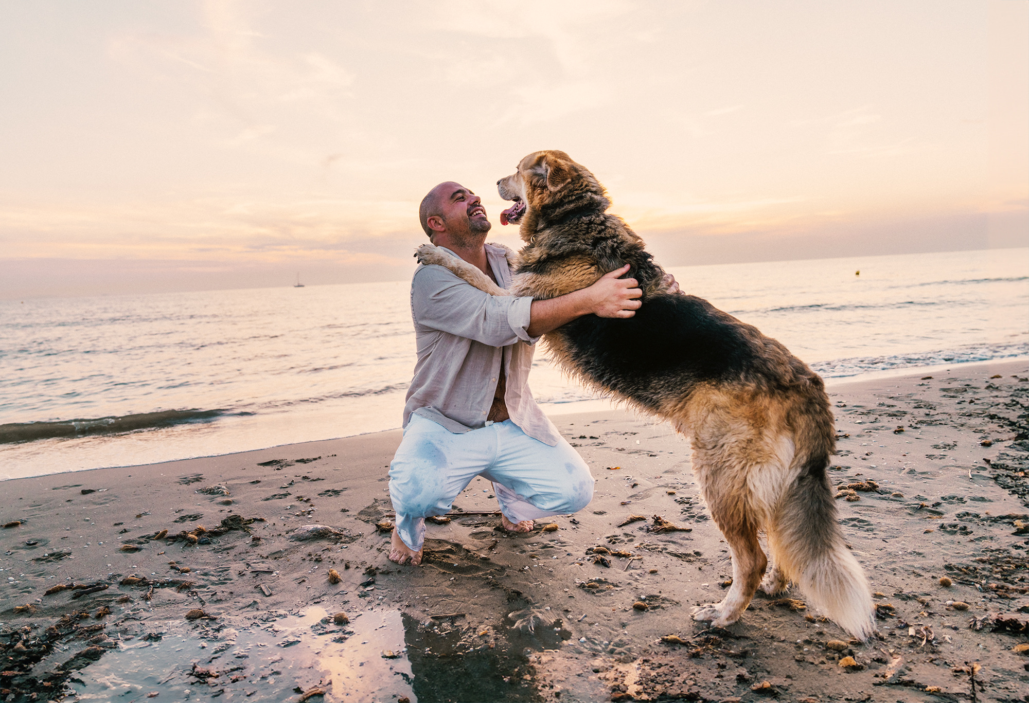 Couple shooting tirrenia beach cane dog spiaggia photography sunset colors pink orange
