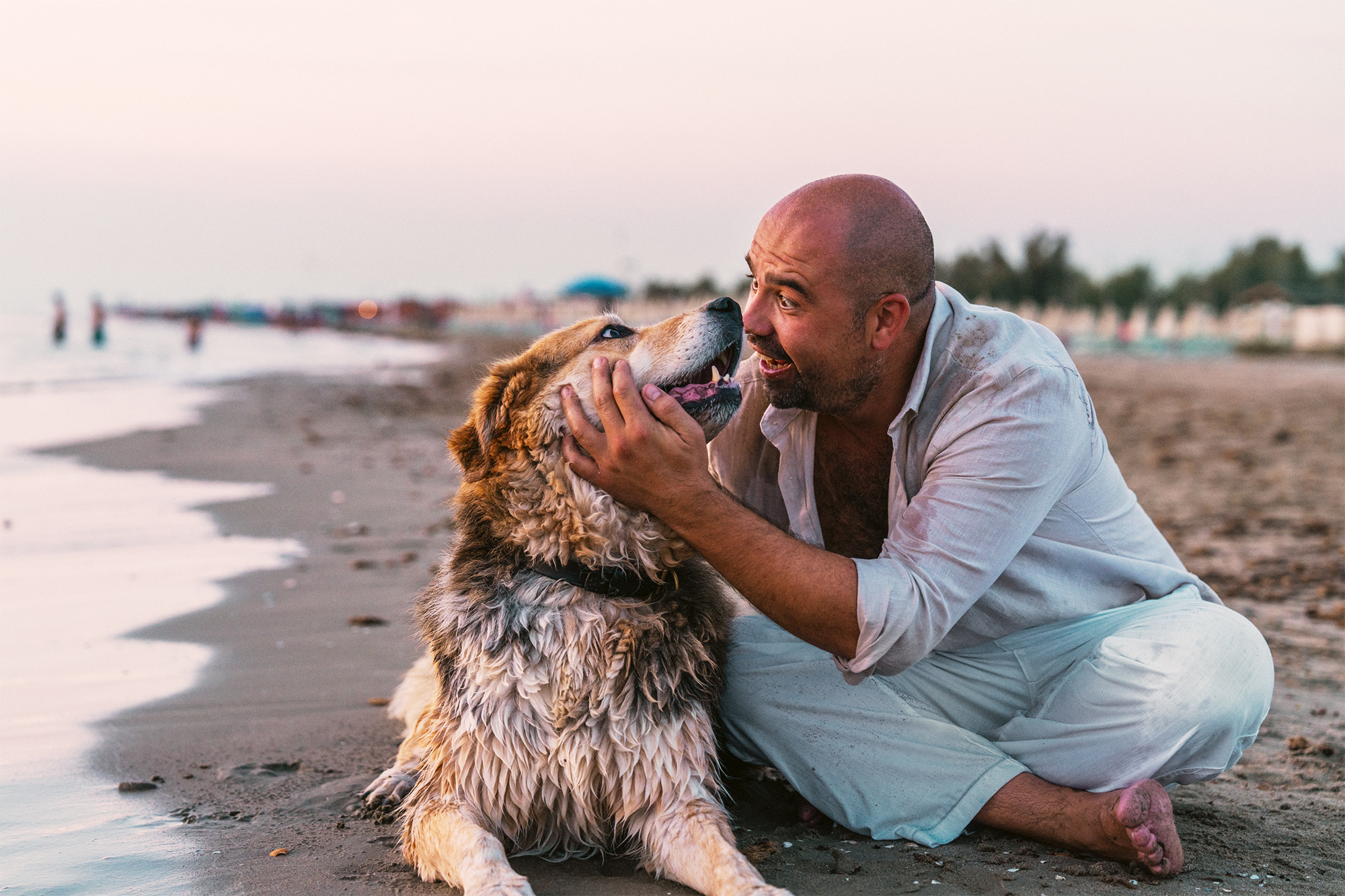 Couple shooting tirrenia beach cane dog spiaggia photography sunset colors pink orange