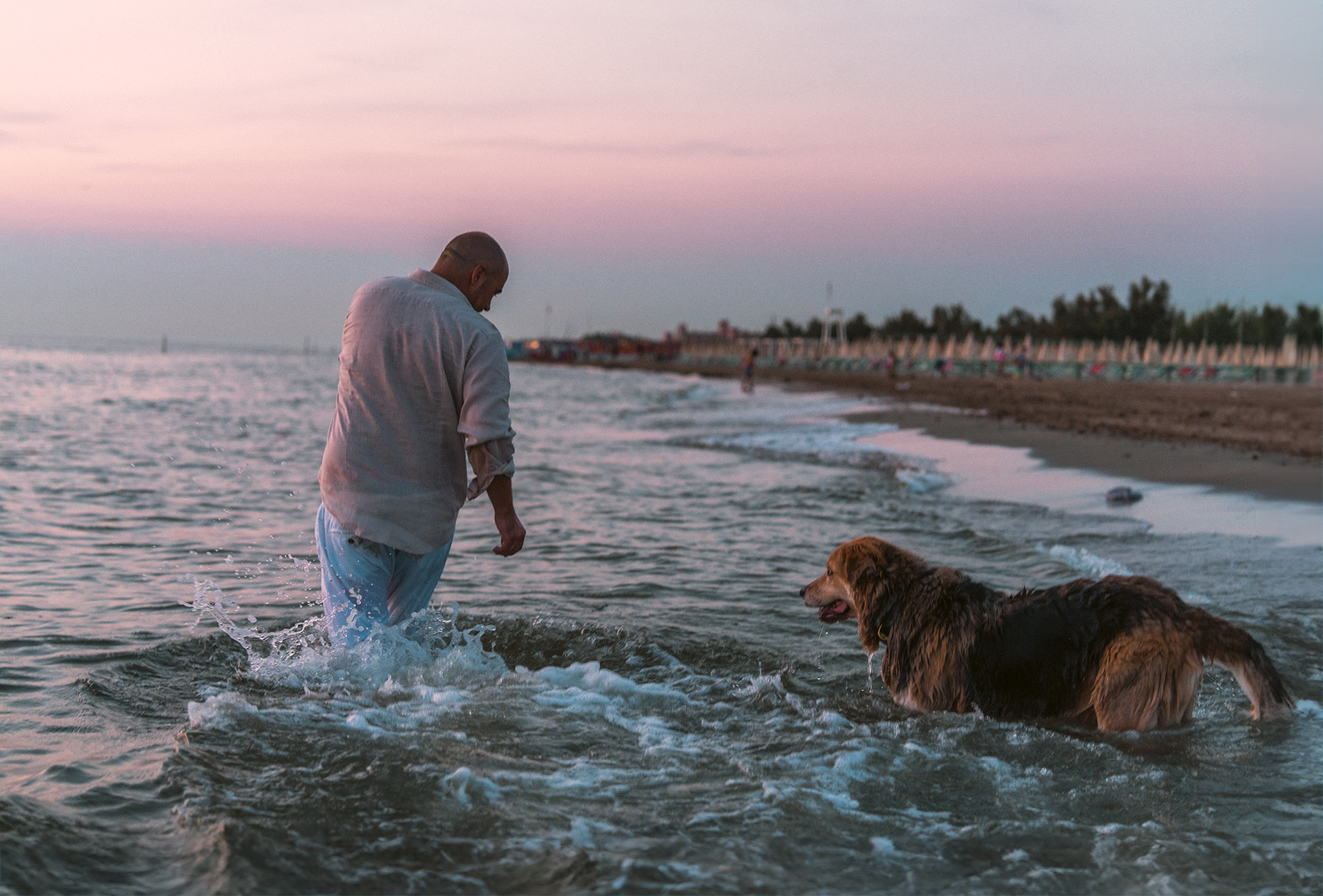 Couple shooting tirrenia beach cane dog spiaggia photography sunset colors pink orange