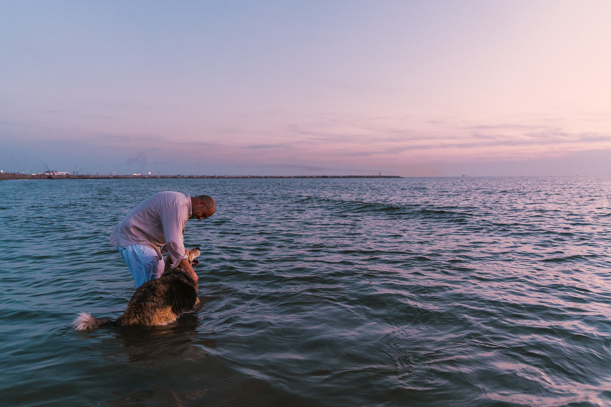 Couple shooting tirrenia beach cane dog spiaggia photography sunset colors pink orange
