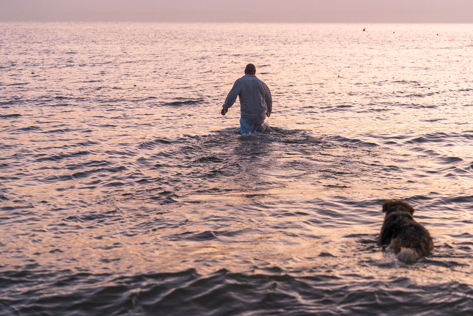 Couple shooting tirrenia beach cane dog spiaggia photography sunset colors pink orange