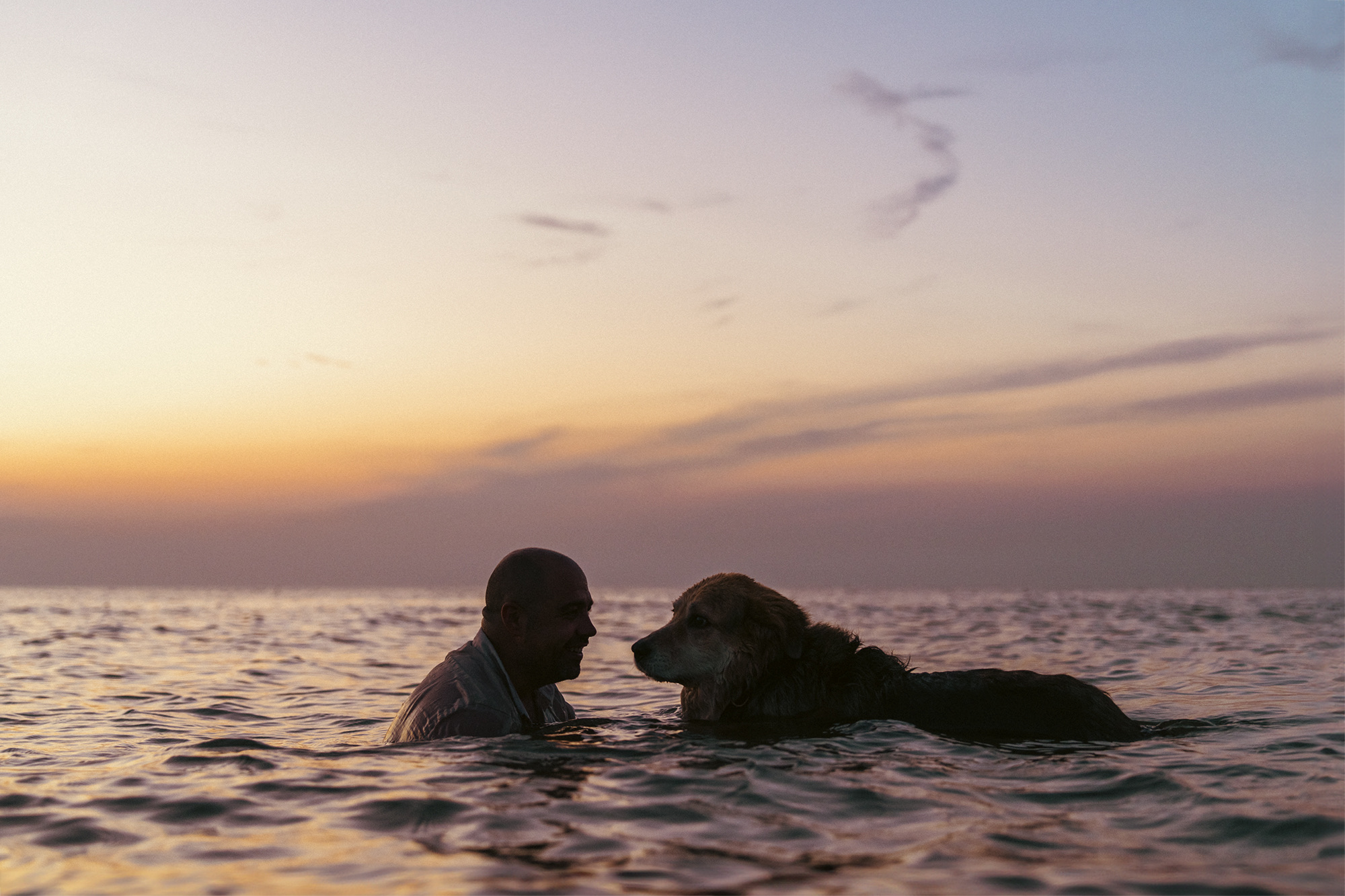 Couple shooting tirrenia beach cane dog spiaggia photography sunset colors pink orange