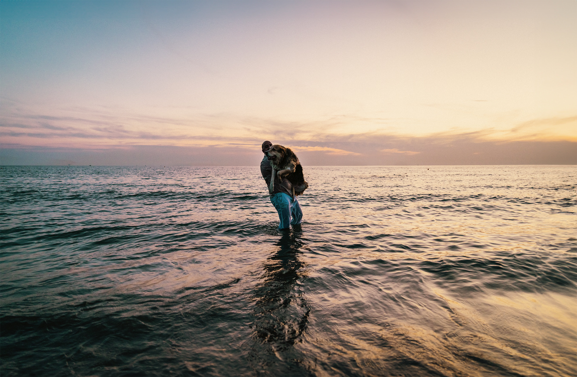 Couple shooting tirrenia beach cane dog spiaggia photography sunset colors pink orange