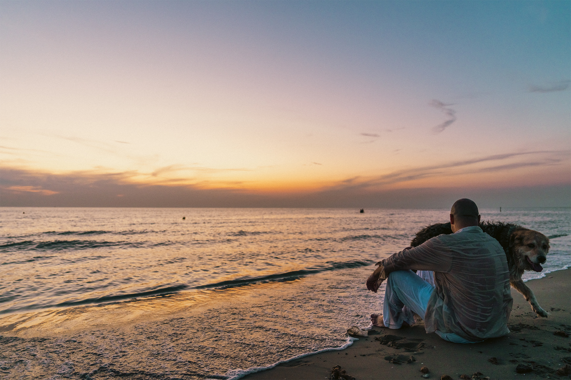 Couple shooting tirrenia beach cane dog spiaggia photography sunset colors pink orange