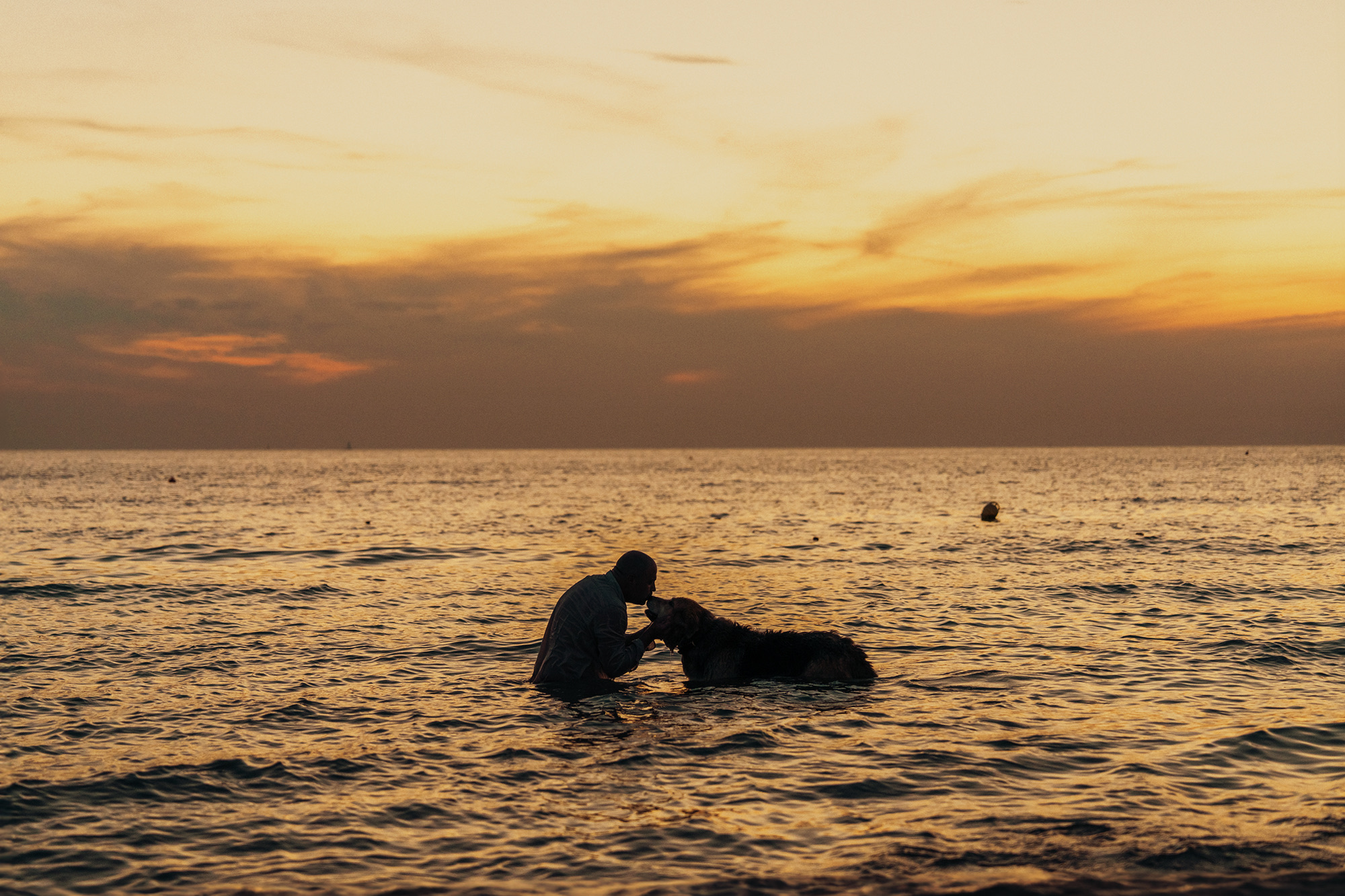 Couple shooting tirrenia beach cane dog spiaggia photography sunset colors pink orange